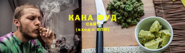 дмт Богородск
