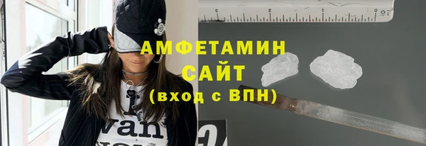 твердый Бородино