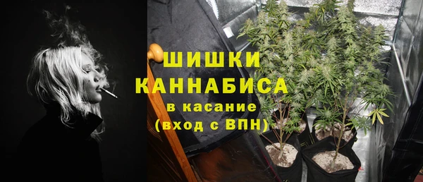 бошки Богданович