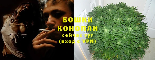 твердый Бородино