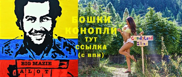 дмт Богородск