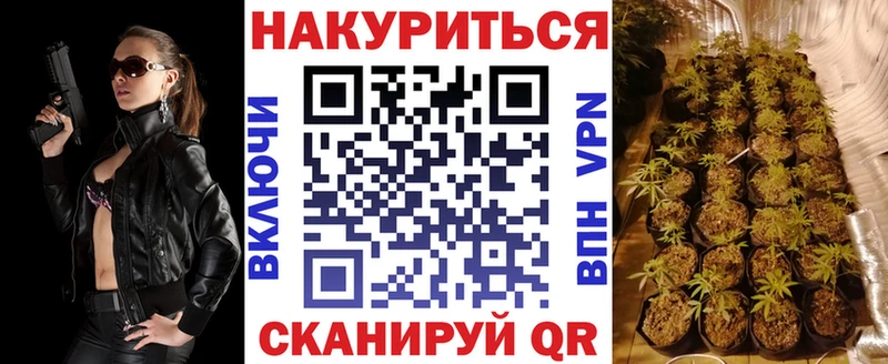 как найти   Нерюнгри  Марихуана THC 21% 